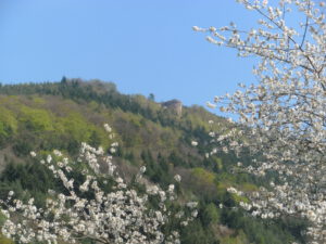 DIGITAL CAMERA