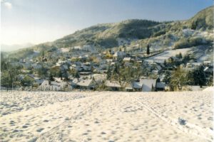 ort + wiese im schnee